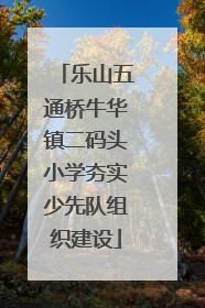 乐山五通桥牛华镇二码头小学夯实少先队组织建设